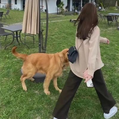 马思纯
